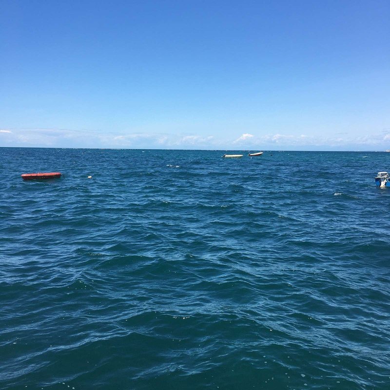 Biznis plán pre banku