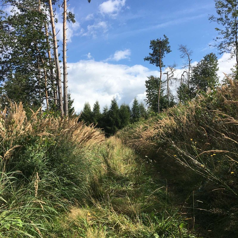 Obchodovanie so zlatom a ropou