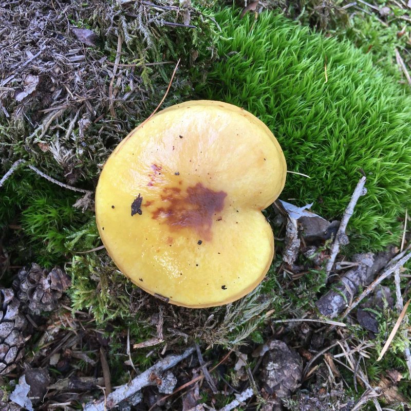 Hmotné a nehmotné odmeňovanie pracovníkov