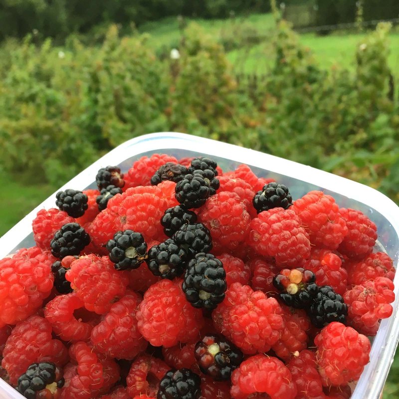 Rodičovské balíčky: návrat do práce, čiastočné úväzky