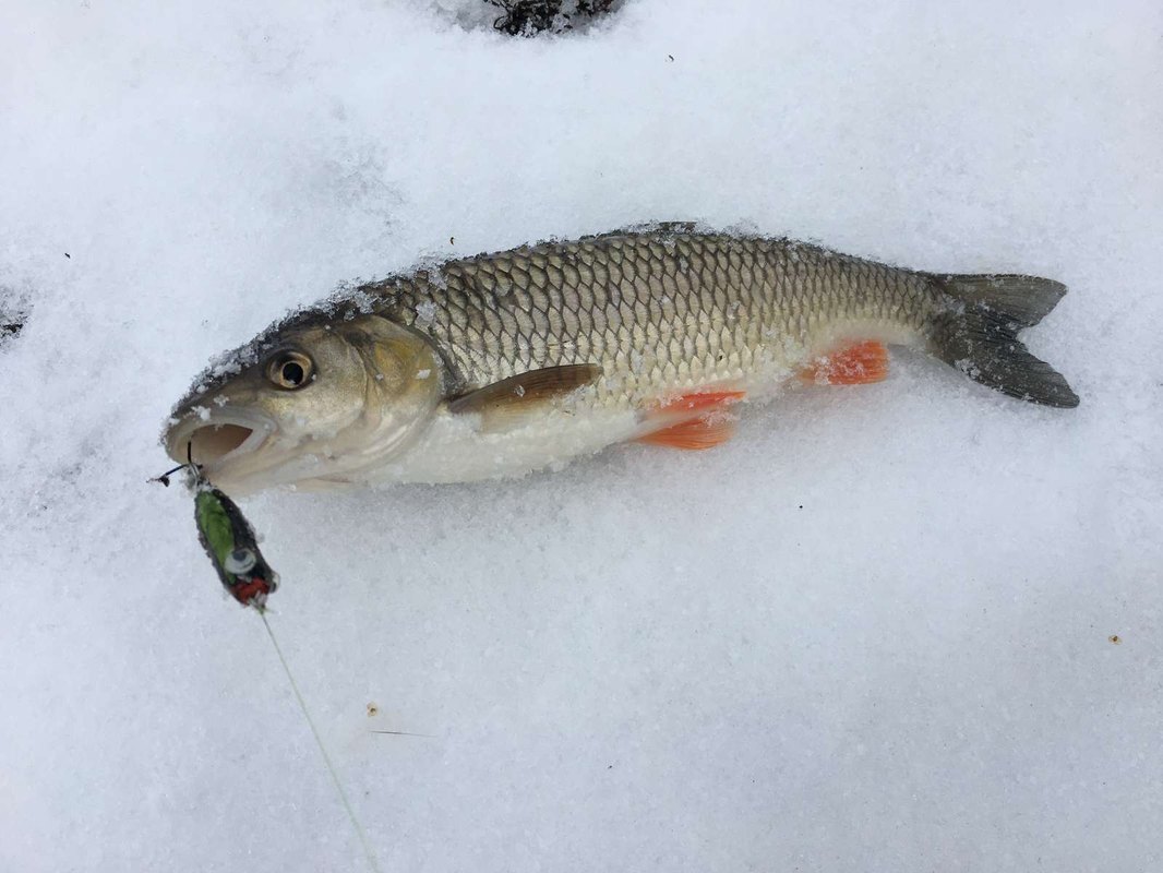 Oznámenia o úniku dát