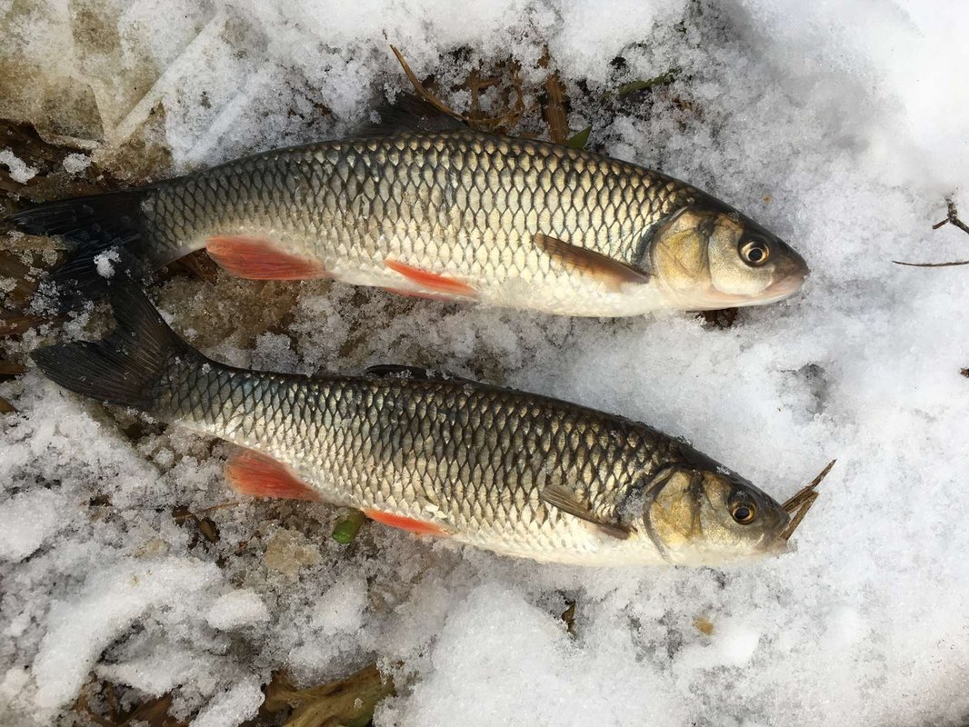 Základy pravdepodobnosti