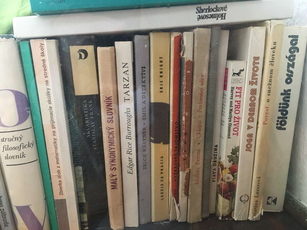 Vzťah finančné trhy a reálna ekonomika