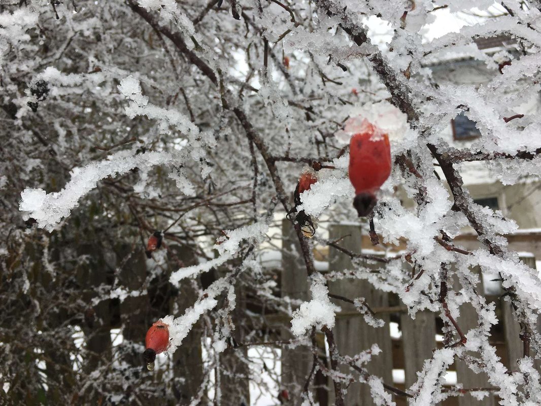 Finančné riadenie podniku