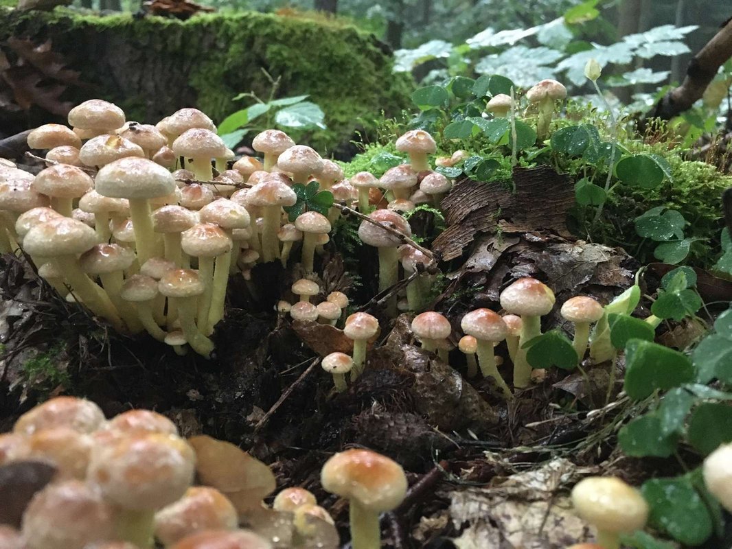 Vymáhanie a inkaso: vaše práva a povinnosti