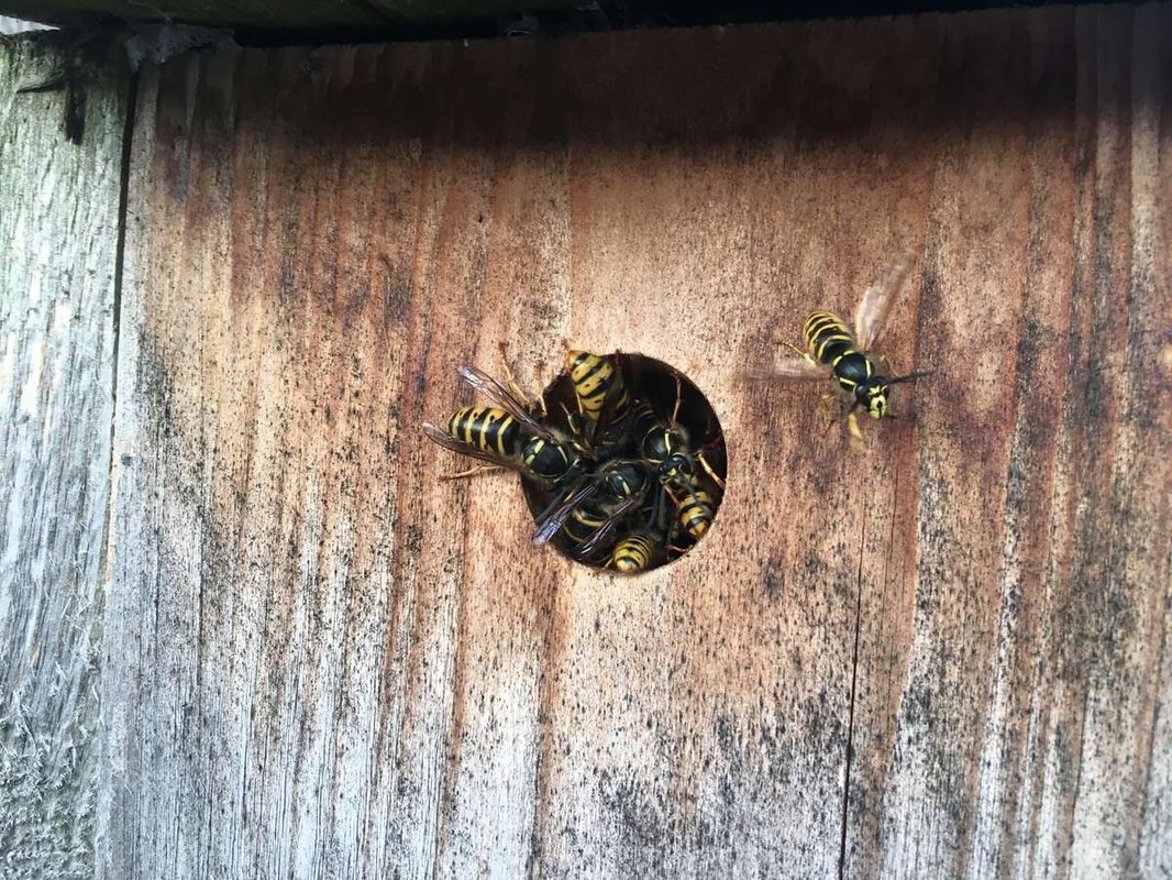 Problémy modernej spoločnosti: Nezamestnanosť