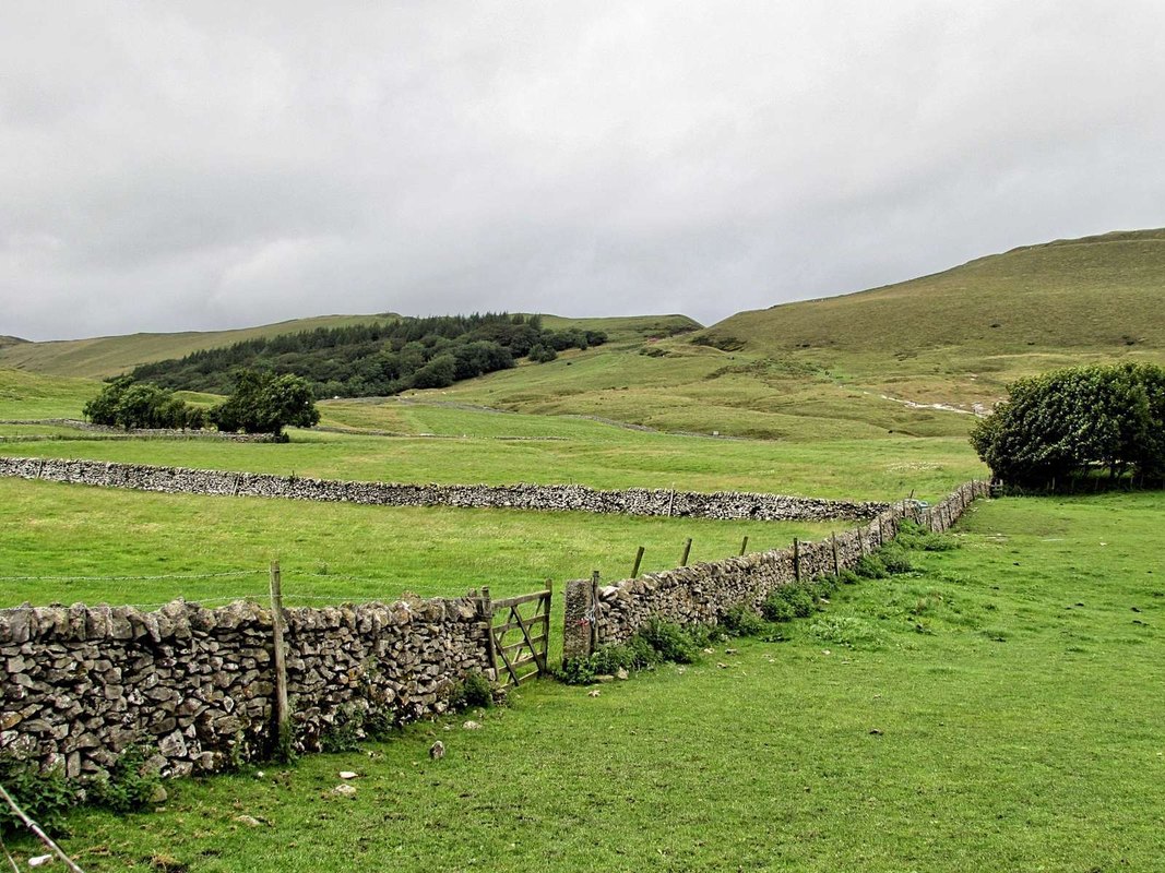 Mikropodnikateľ vs. s.r.o.