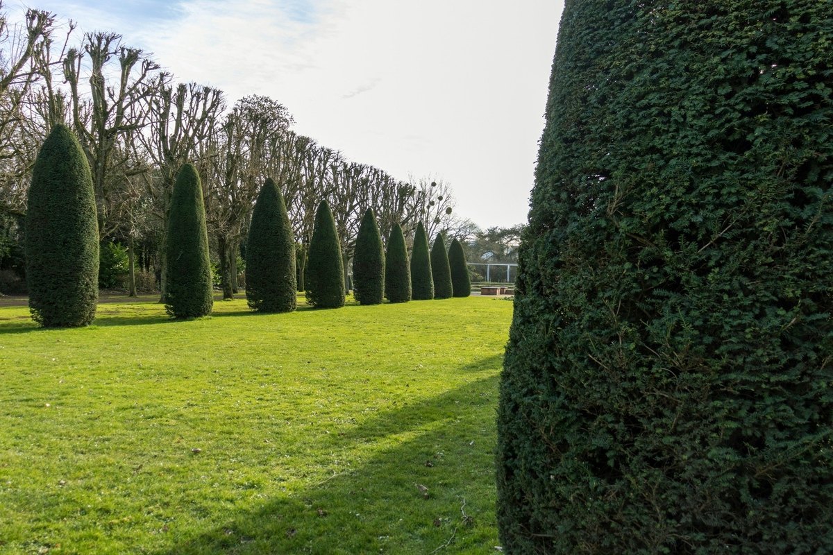 Tranzitná zásielka