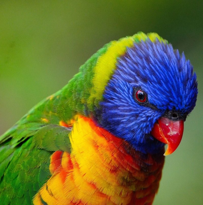 Bankové účty: Aký typ účtu si vybrať?