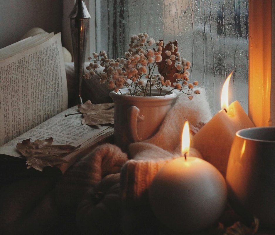 Black Friday bez porušenia