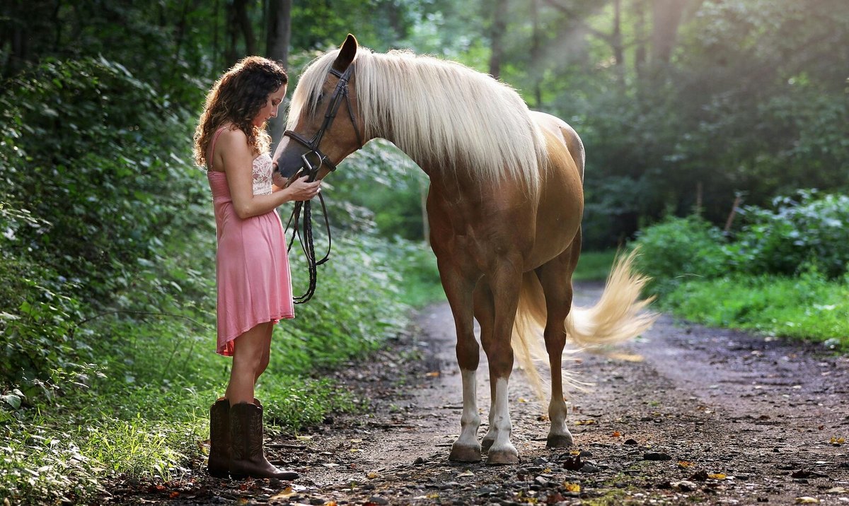 ISO organizácia s najvyšším výkonom