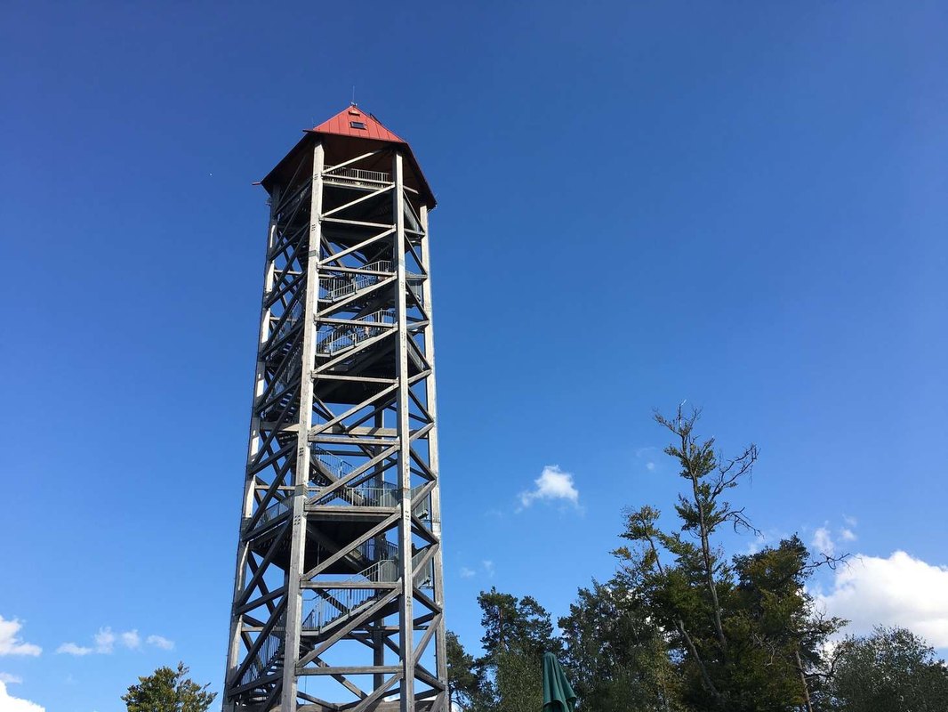 Migrácia a podnikateľstvo: Migrantmi založené podniky a ich prínos pre ekonomiku