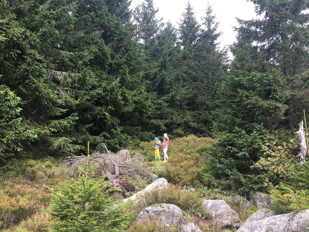 Strategie zálohování dat: Metody, média a retence