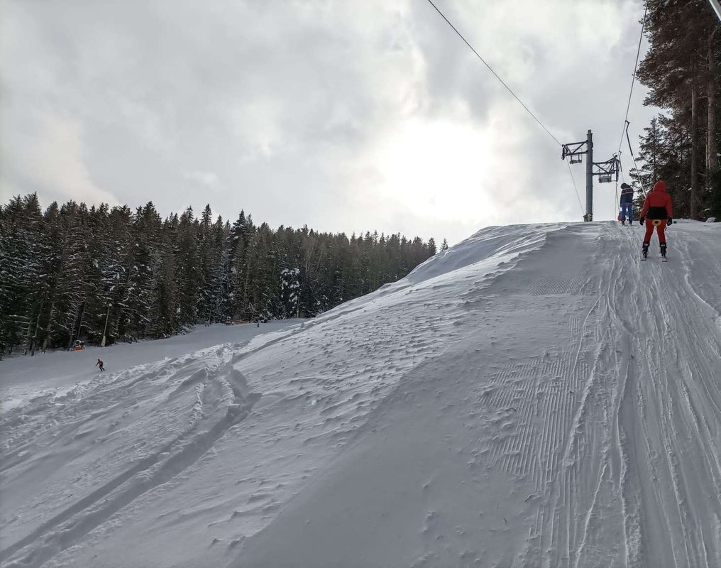 Výkon funkcie členov orgánov: odmena, daň, zodpovednosť