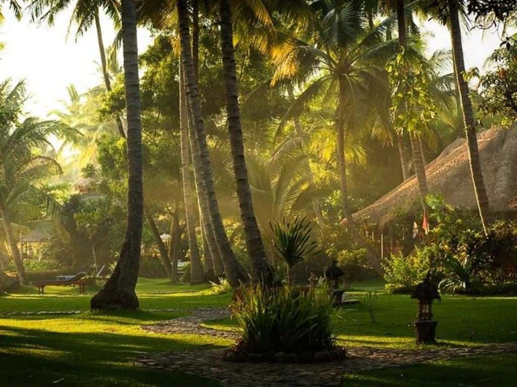 Ako si stanoviť ciele: SMART ciele, vízia do budúcnosti