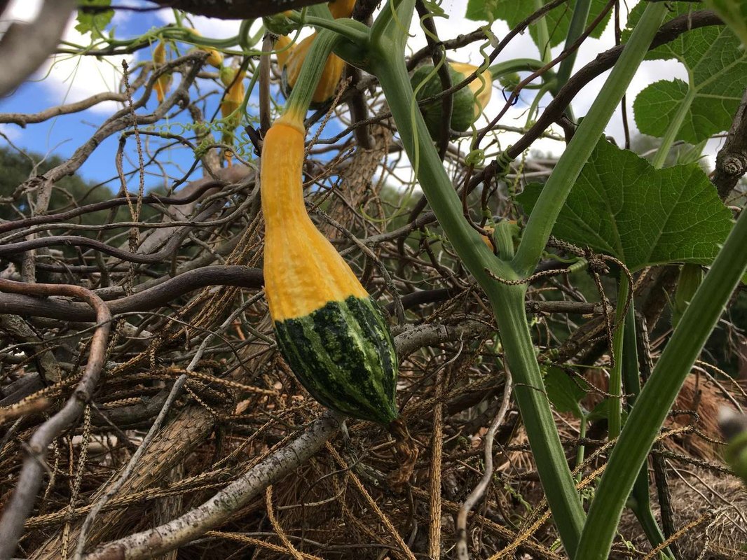 Príklady z praxe – úspešné viacúrovňové stratégie