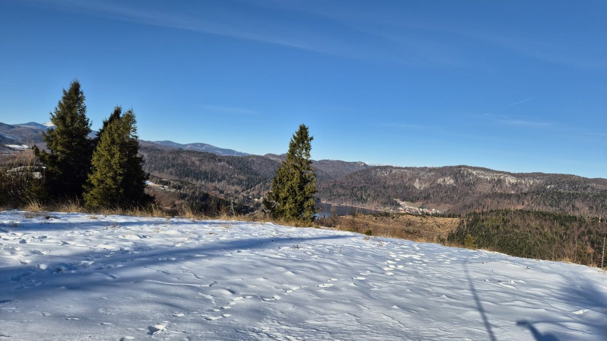 Reaktívny, anticipatívny a marketing utvárajúci potreby