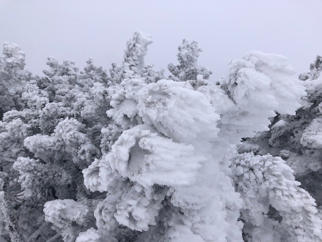 spoluúčasť klientely