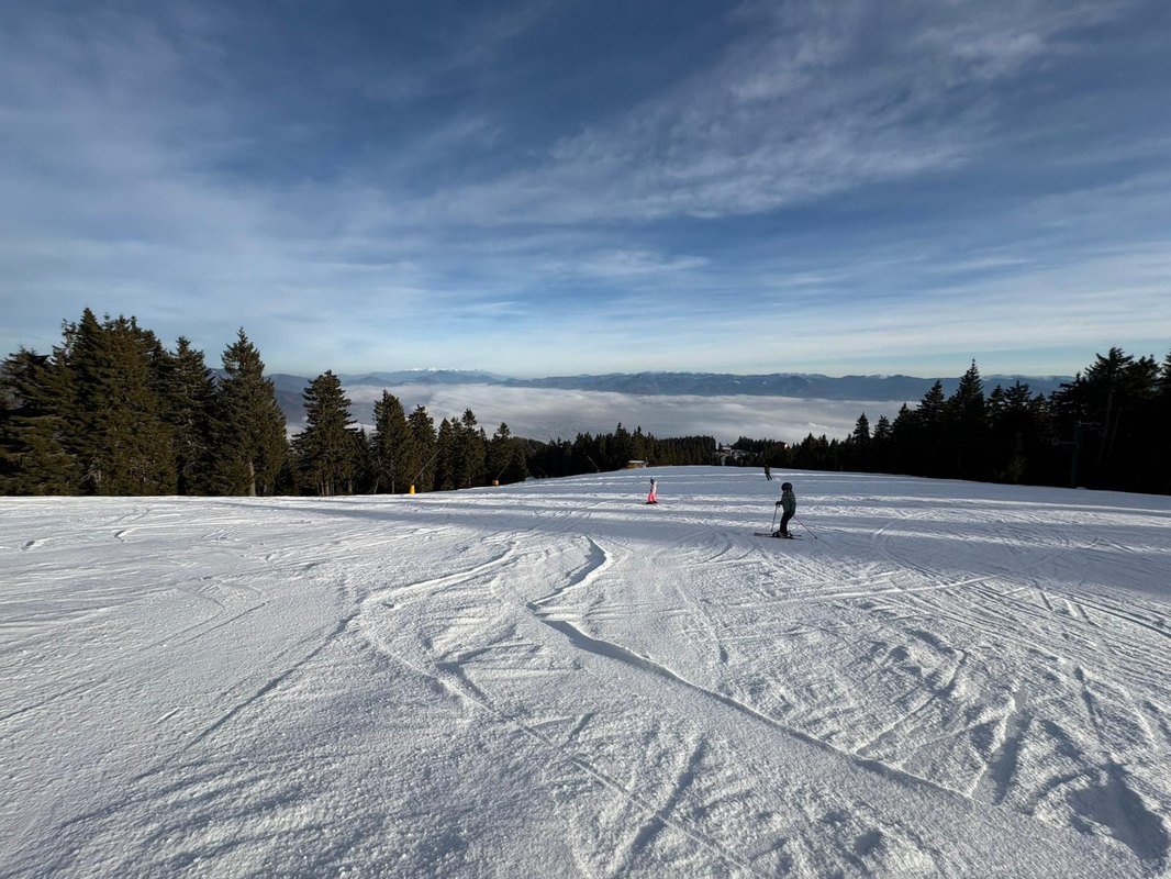 12 archetypov značiek podľa C. G. Junga