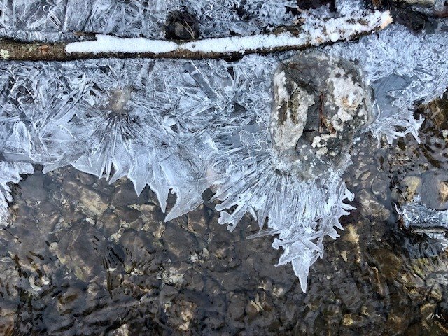 Participatívny rozpočet: Metódy zapojenia občanov do rozhodovania o verejných zdrojoch