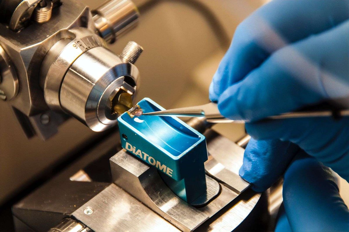 Plánovanie výrobných kapacít