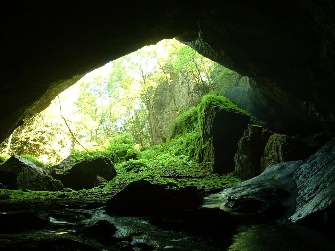 Stratégia po neúspešnej skúške: Analýza chýb a efektívny plán tréningu pre opakovanie