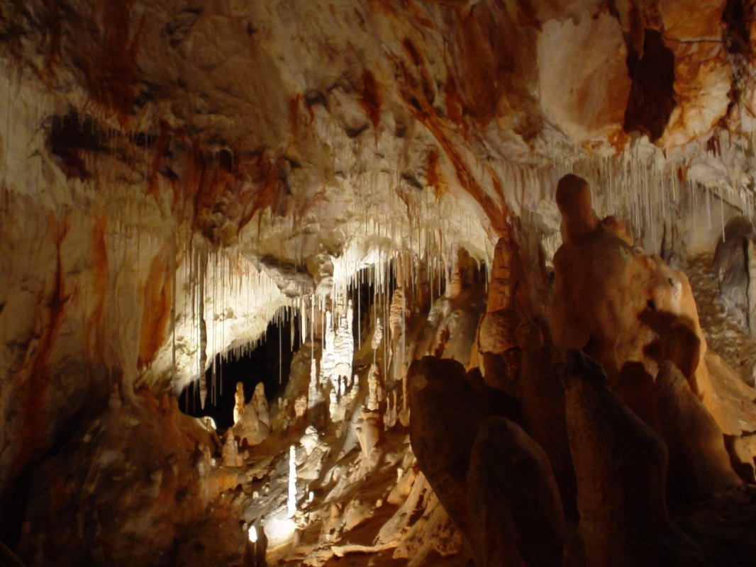 Aranžovanie taniera