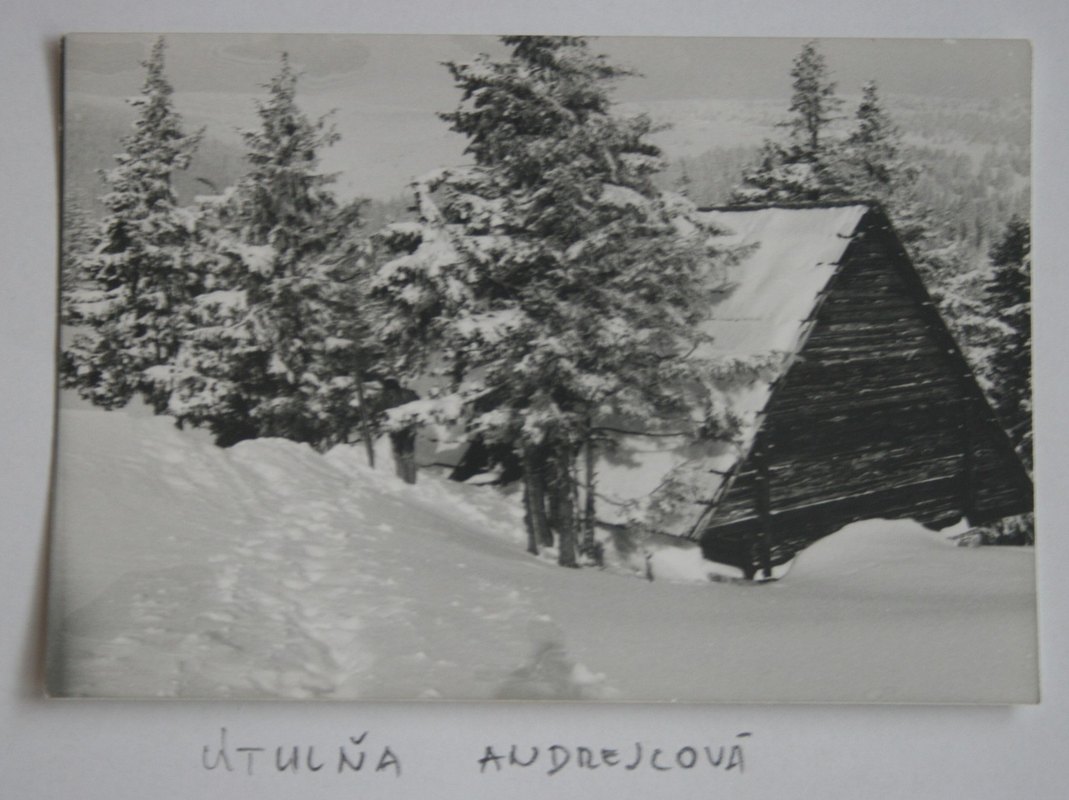 Architektúra rastu: Úloha stratégie pri dlhodobom a udržateľnom raste organizácie