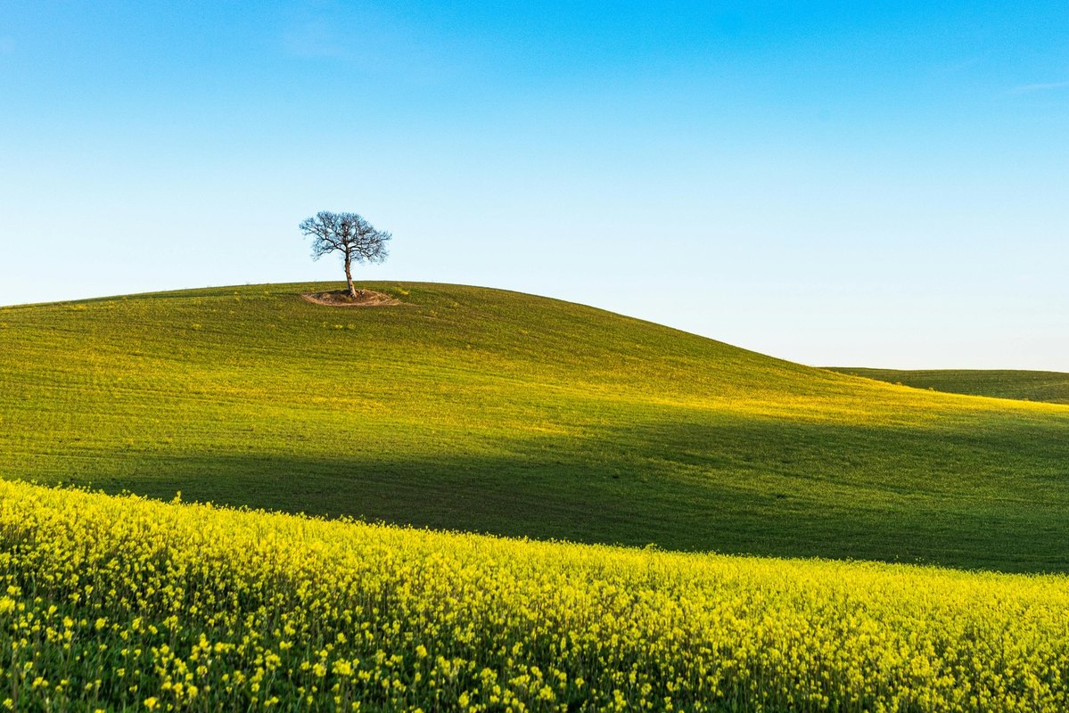 Perorálne doplnky pre pleť: kolagén, zinok, antioxidanty – s rozumom