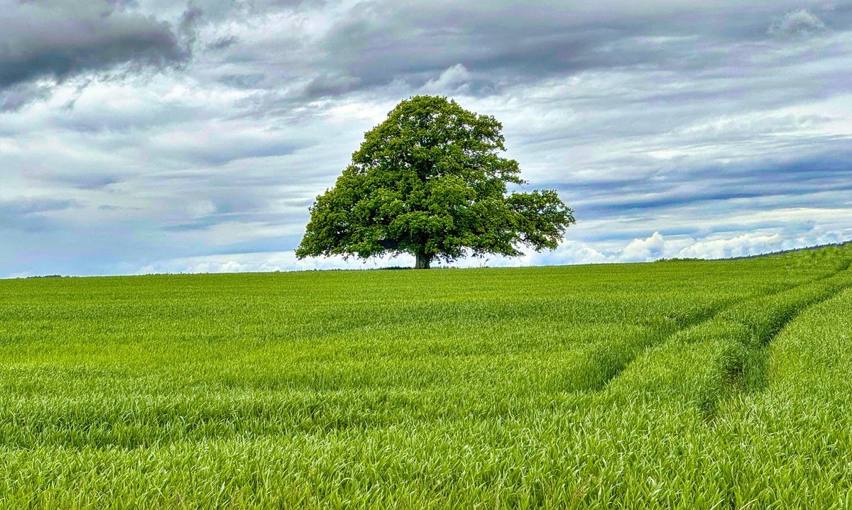 Etika fotodokumentácie: Realita retuší a dôležitosť autentických fotografií pred/po