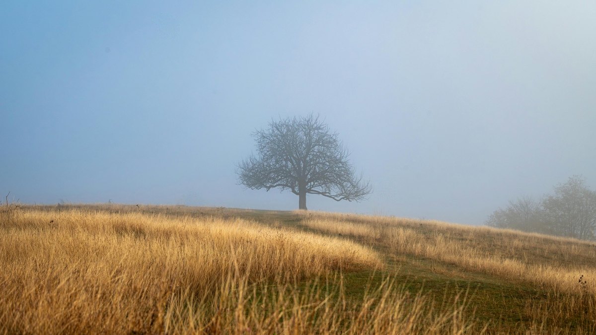 Máte tieto problémy v účtovníctve? Inovujte a ušetrite