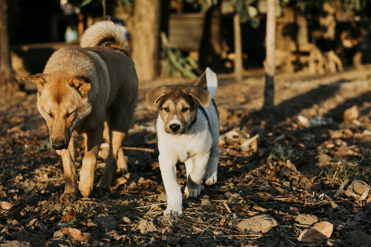 Sezónne a dočasné špičky: krátkodobé prémie a agentúry