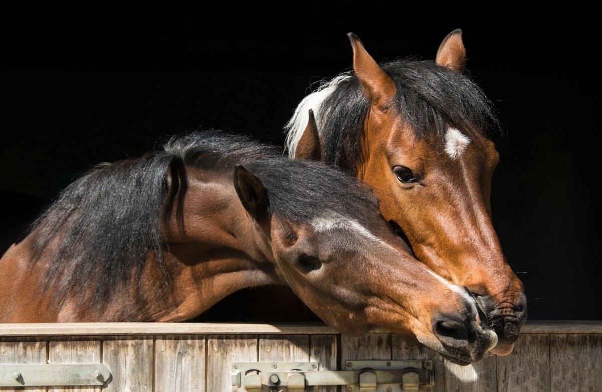 Makeup do práce verzus na event: Adaptácia rutiny