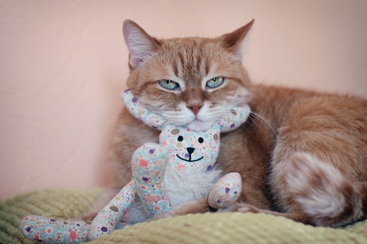 Žiadosť o pôžičku: Taxonómia najčastejších chýb a ich dopad na schválenie