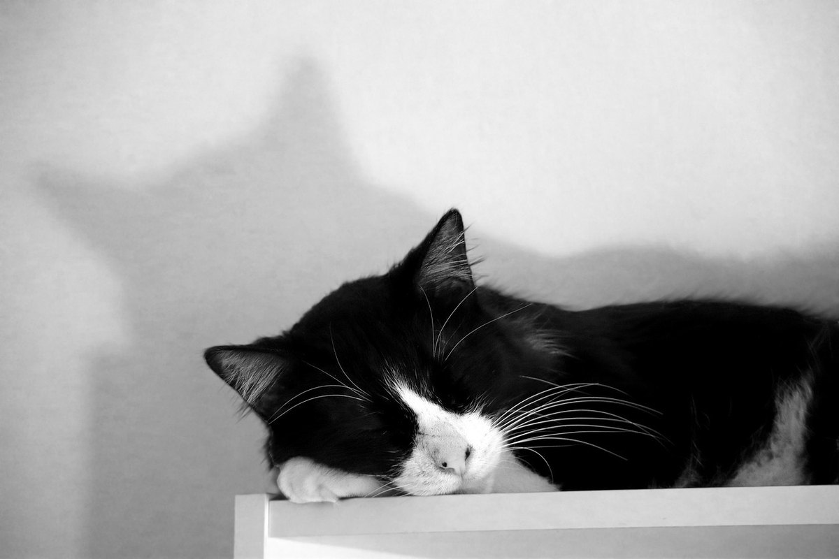 Expat a študenti v zahraničí: Kombinácia zdravotného a cestovného poistenia