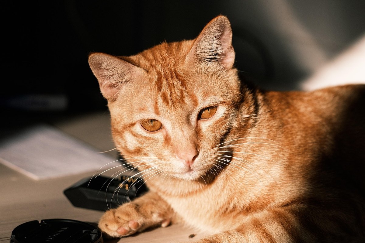 KYC/AML pre krypto firmy: minimum, ktoré treba chápať