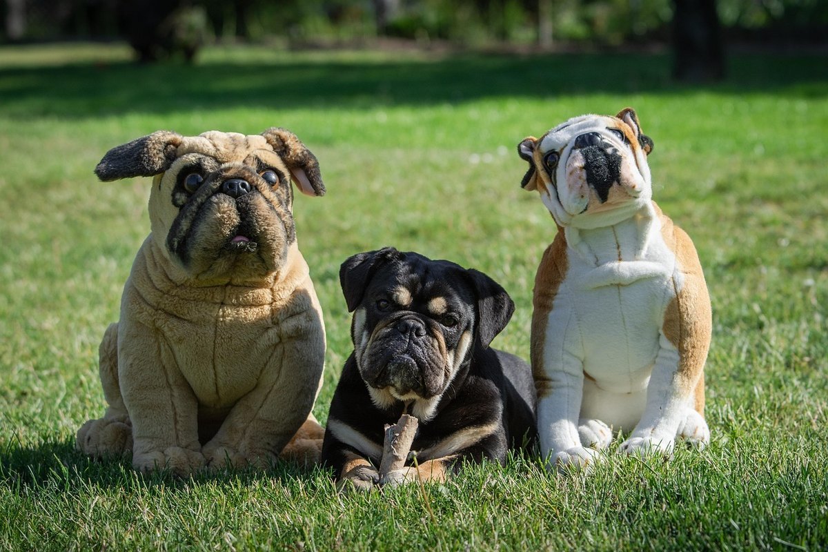 Alternatívne teórie trhovej ekonomiky