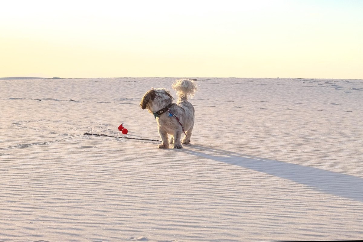 Politika kybernetickej bezpečnosti v organizácii