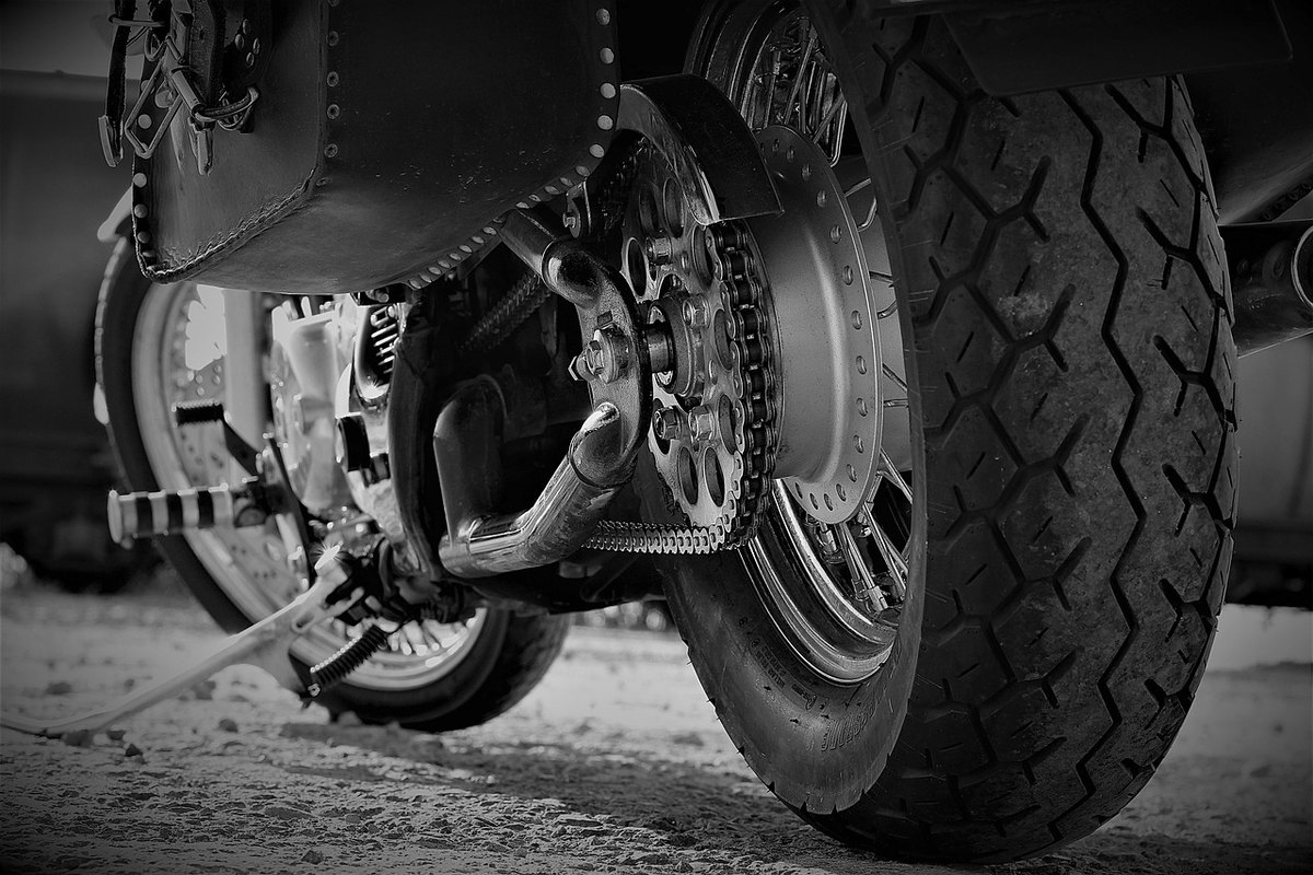 Biofilný Dizajn: Integrácia prírodných prvkov do interiérov pre ľudskú pohodu a produktivitu