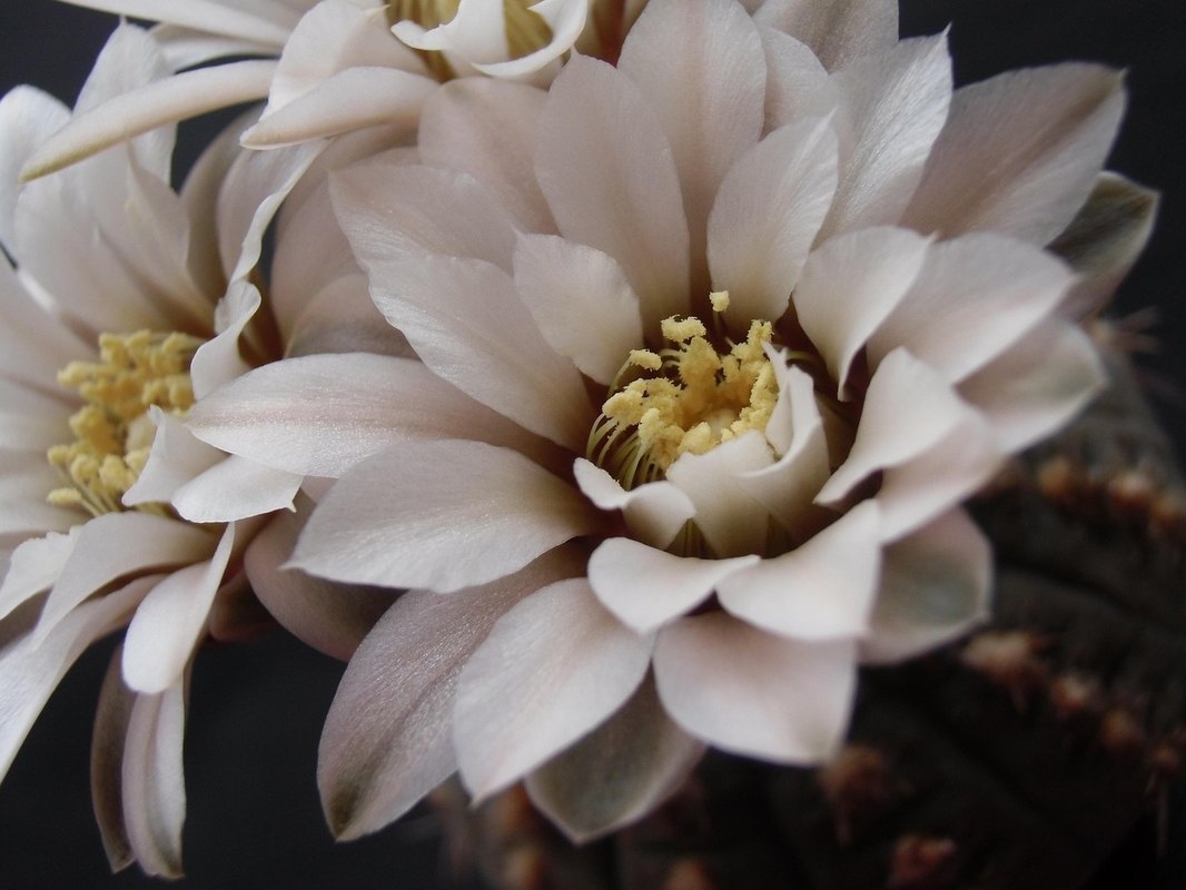 Kampaňová pravdivosť: Transparentnosť a pravdivosť v marketingových kampaniach