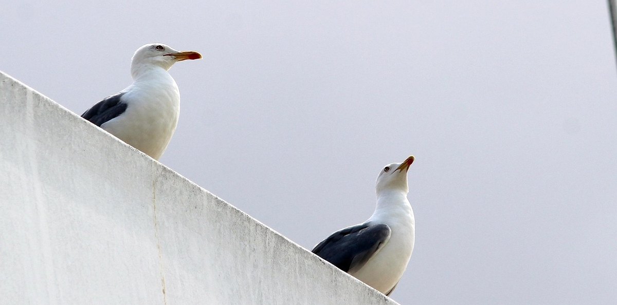 Kariérny rast a talent manažment: Plánovanie nástupníctva a retencia