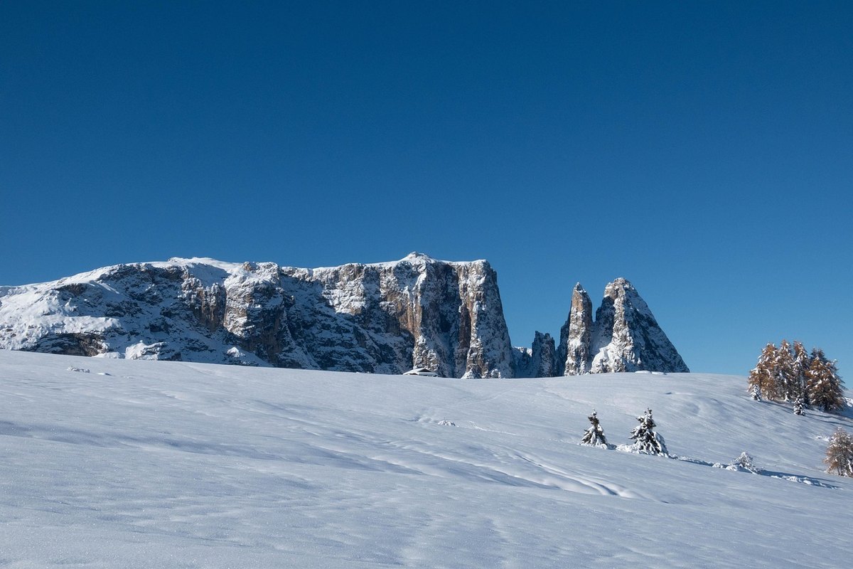 Oprávnený zamestnanec