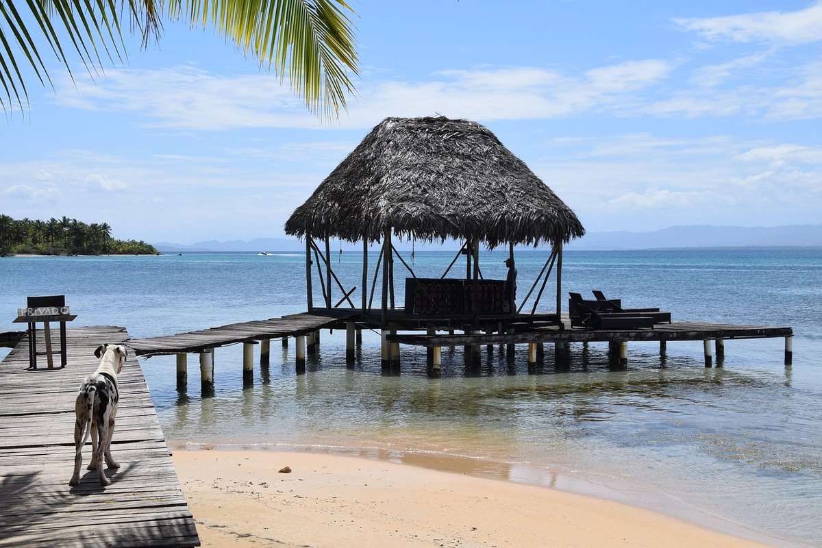 Práca na diaľku zo zahraničia: riziká daňovej rezidencie