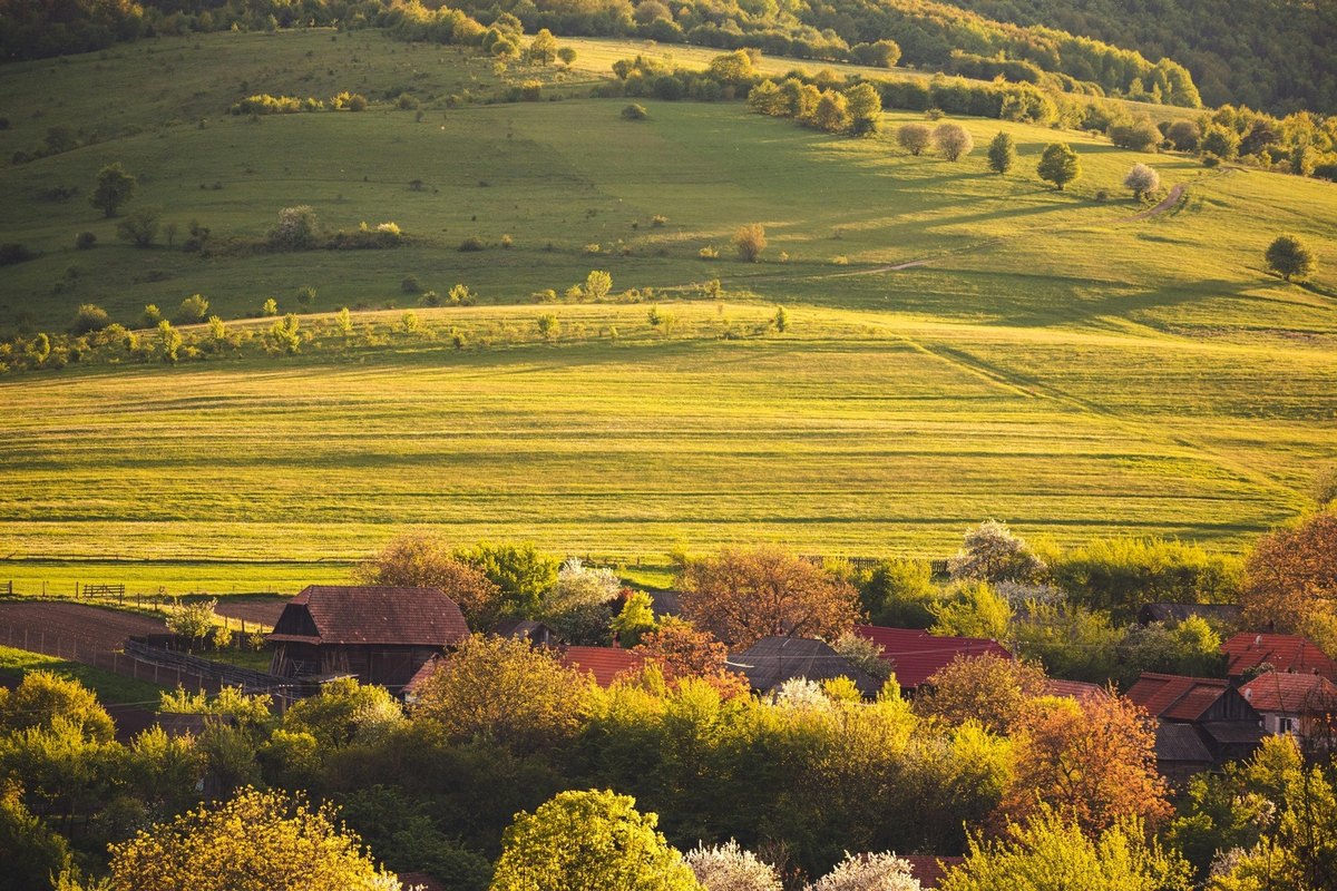 User Generated Content (UGC) ako súčasť značky