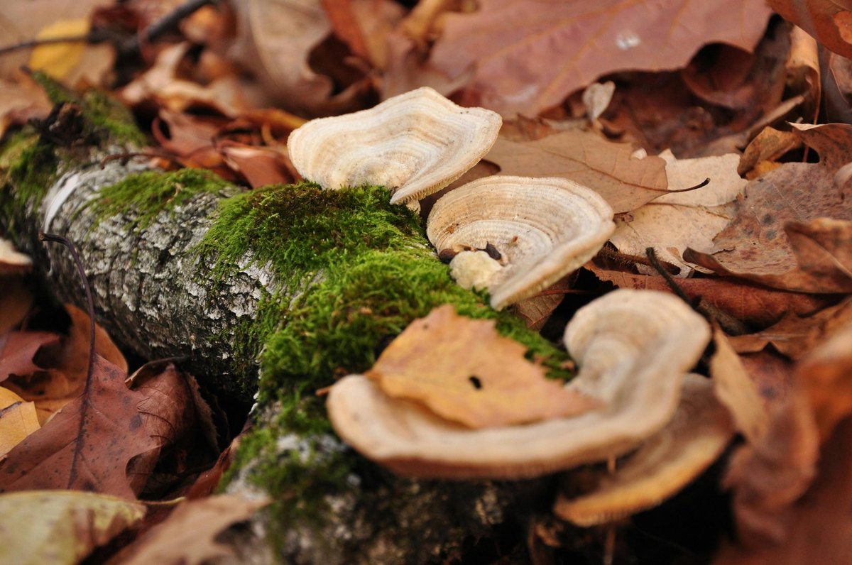 Športová, reflexná a aromaterapeutická masáž