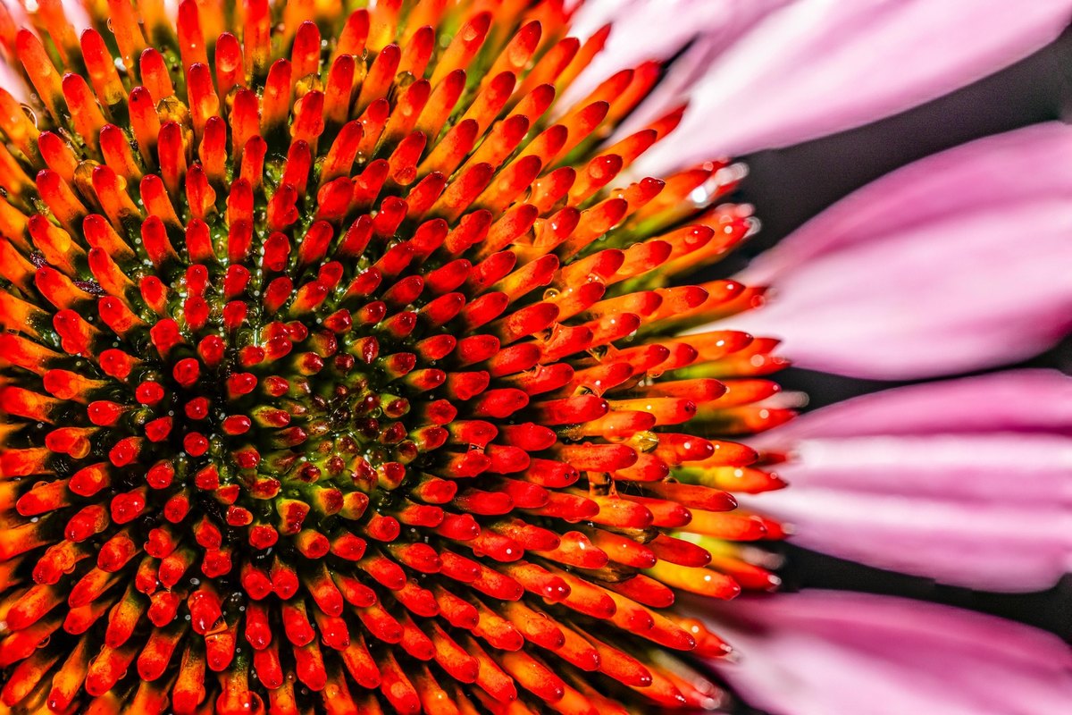 Registrácia pri prijatí/dodaní služby z/do iného členského štátu