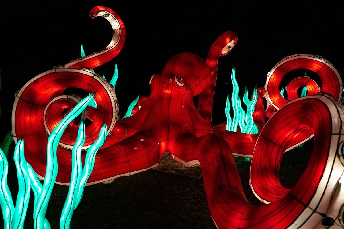 Finančná disciplína po konsolidácii: Správa dlhu