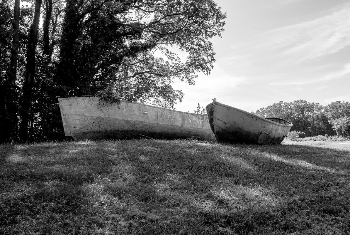 Prieskum dopytu prenájmov