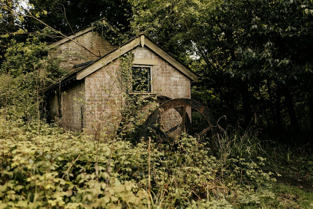 Proces rozhodovania v organizácii