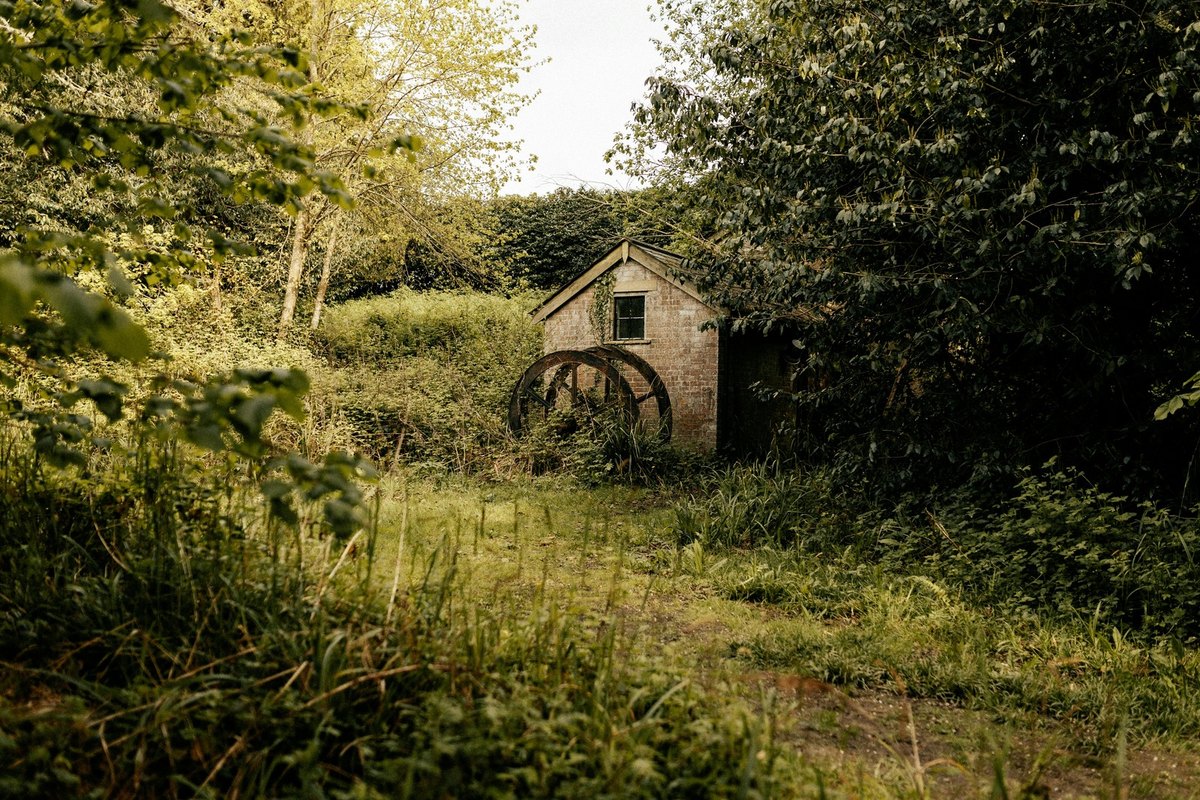 Reflexia spoločenských zmien a identity: Literatúra po páde totality